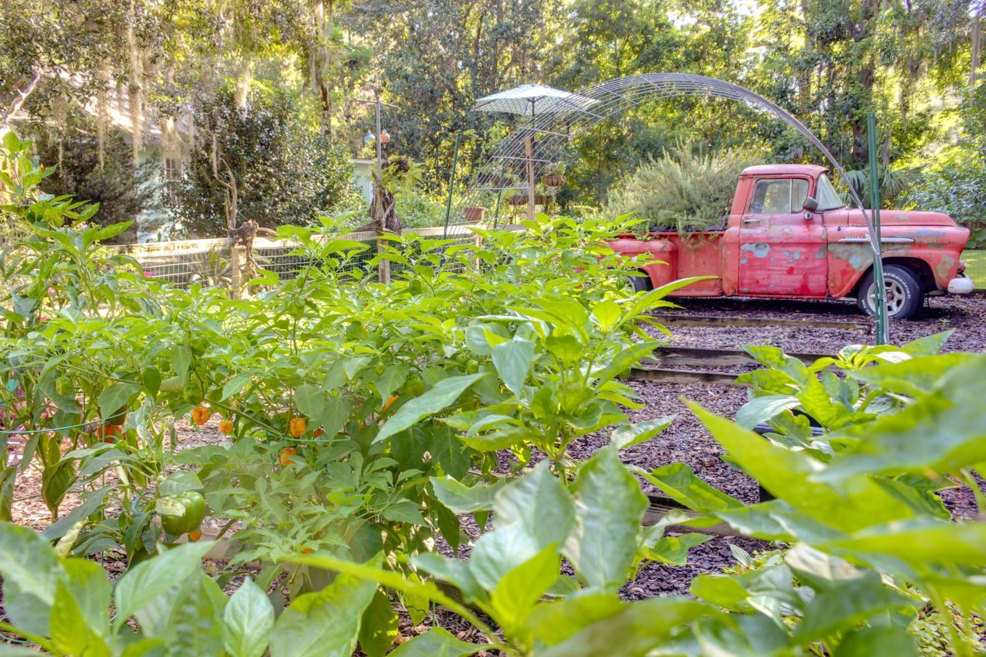 Savannah Cottage - 5 Mi To Wormsloe Historic Site! מראה חיצוני תמונה